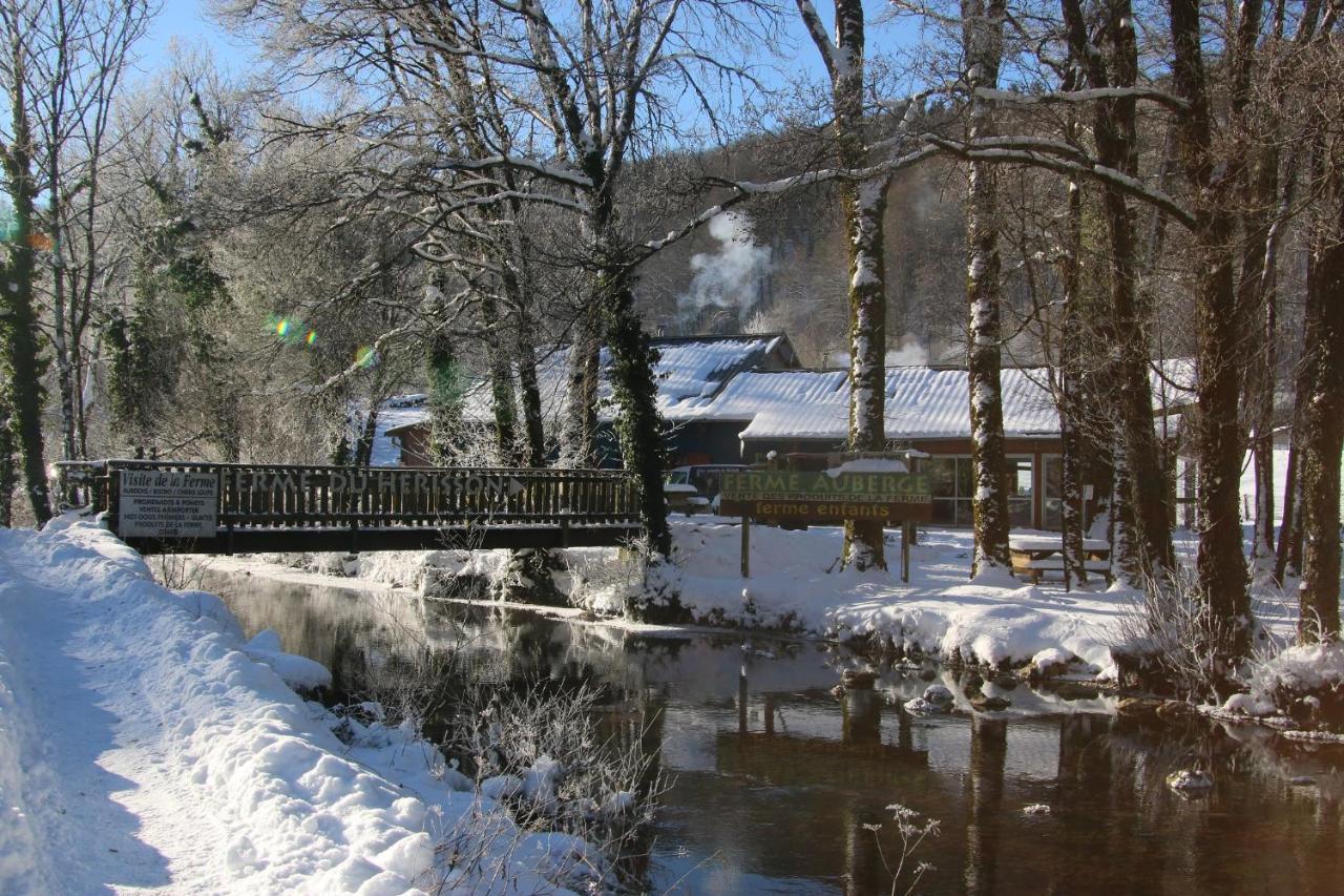 Parc Animalier Du Herisson Villa Doucier Exterior photo
